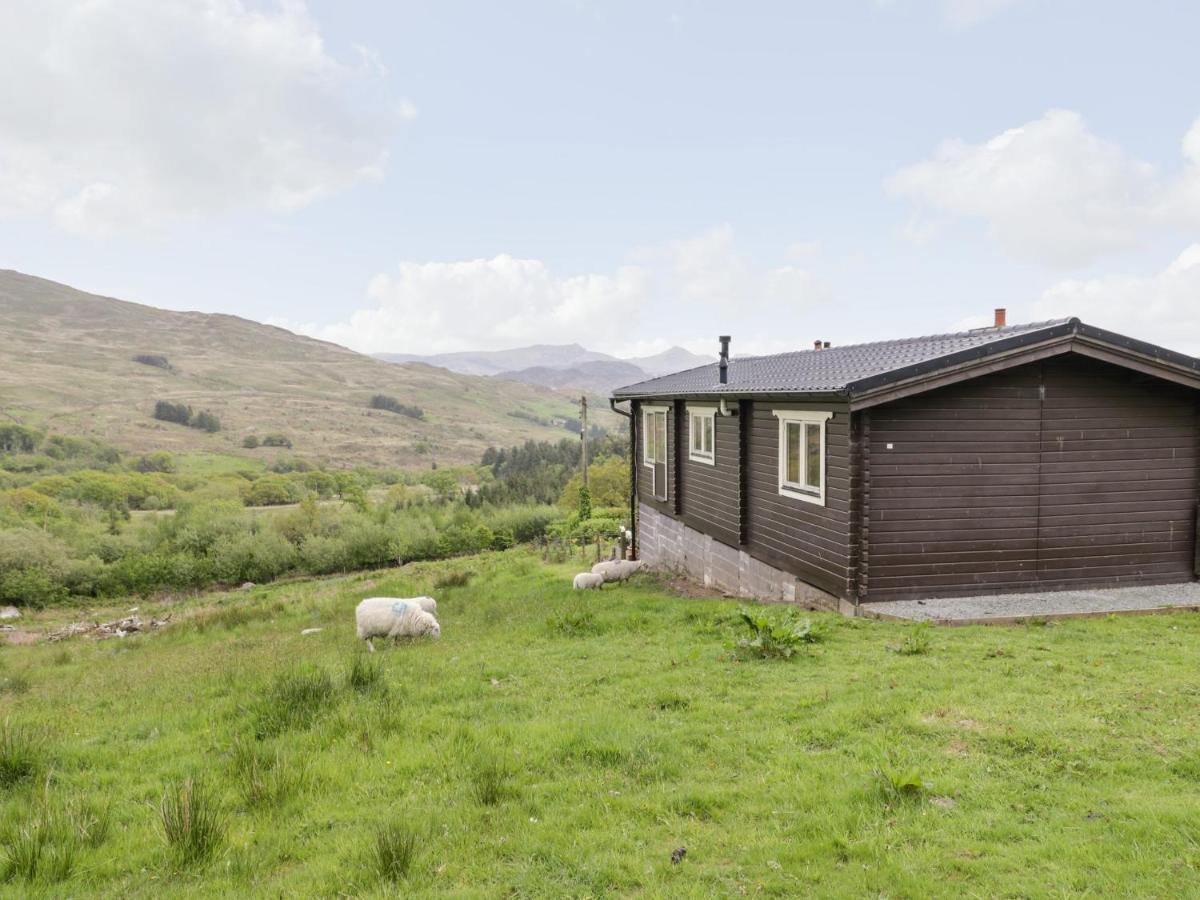 Snowdon Vista Cabin Βίλα Κερνάρφον Εξωτερικό φωτογραφία