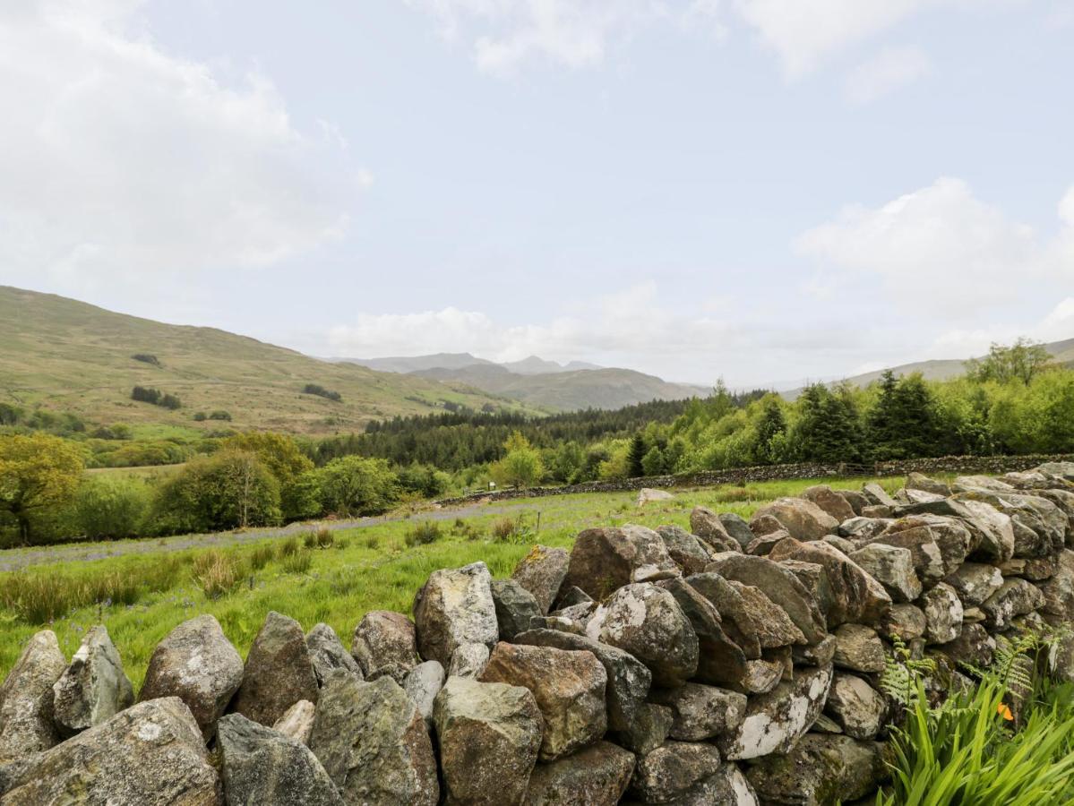 Snowdon Vista Cabin Βίλα Κερνάρφον Εξωτερικό φωτογραφία