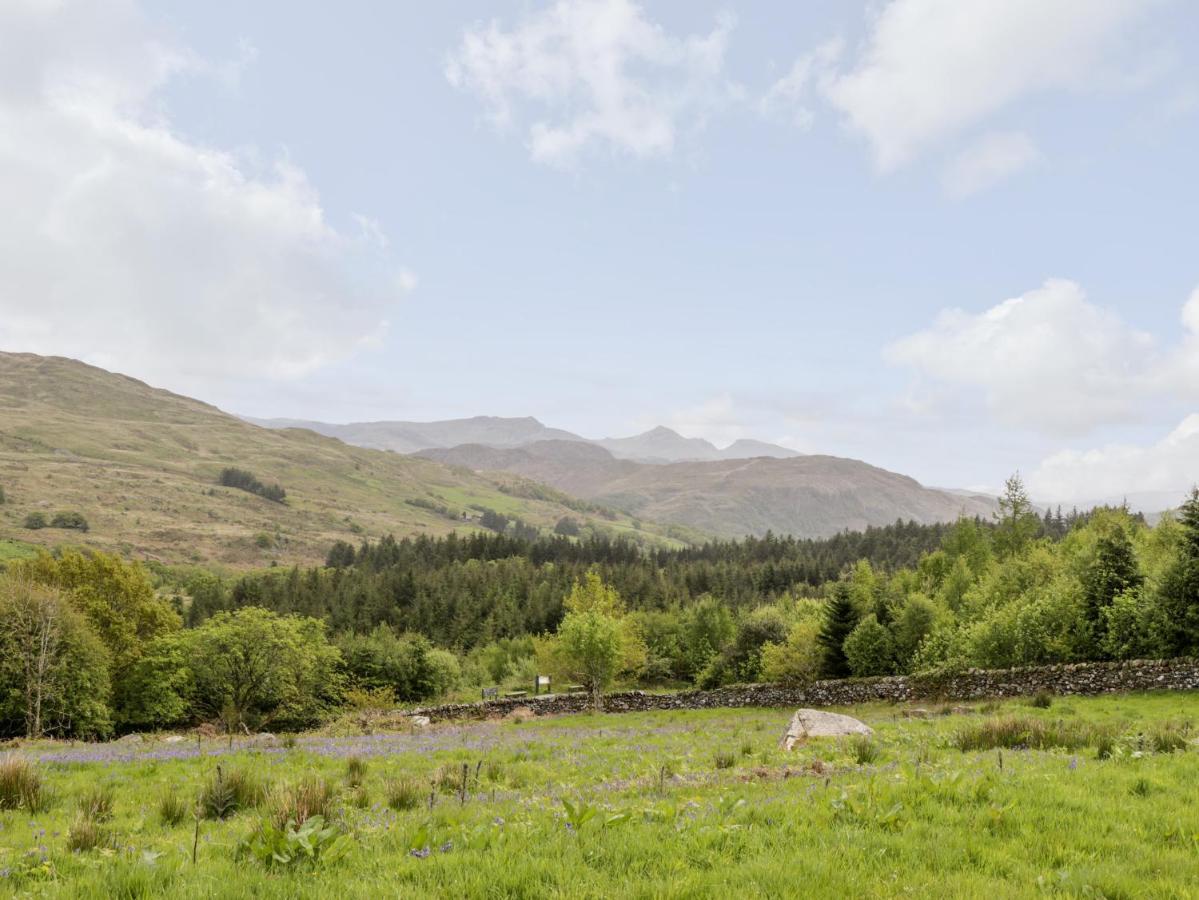 Snowdon Vista Cabin Βίλα Κερνάρφον Εξωτερικό φωτογραφία